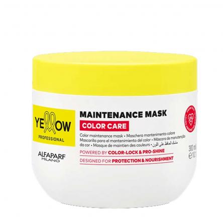 Alfaparf color care mask 300 ml