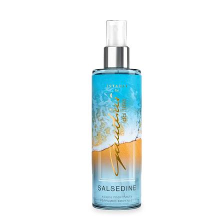 Gandini istanti acqua corpo 250 ml salsedine